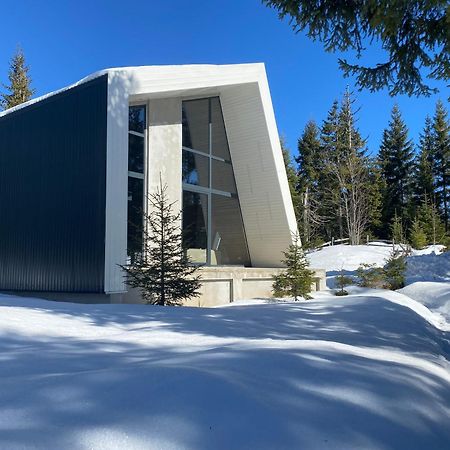 Villa Olympic Oasis Jahorina Exterior foto