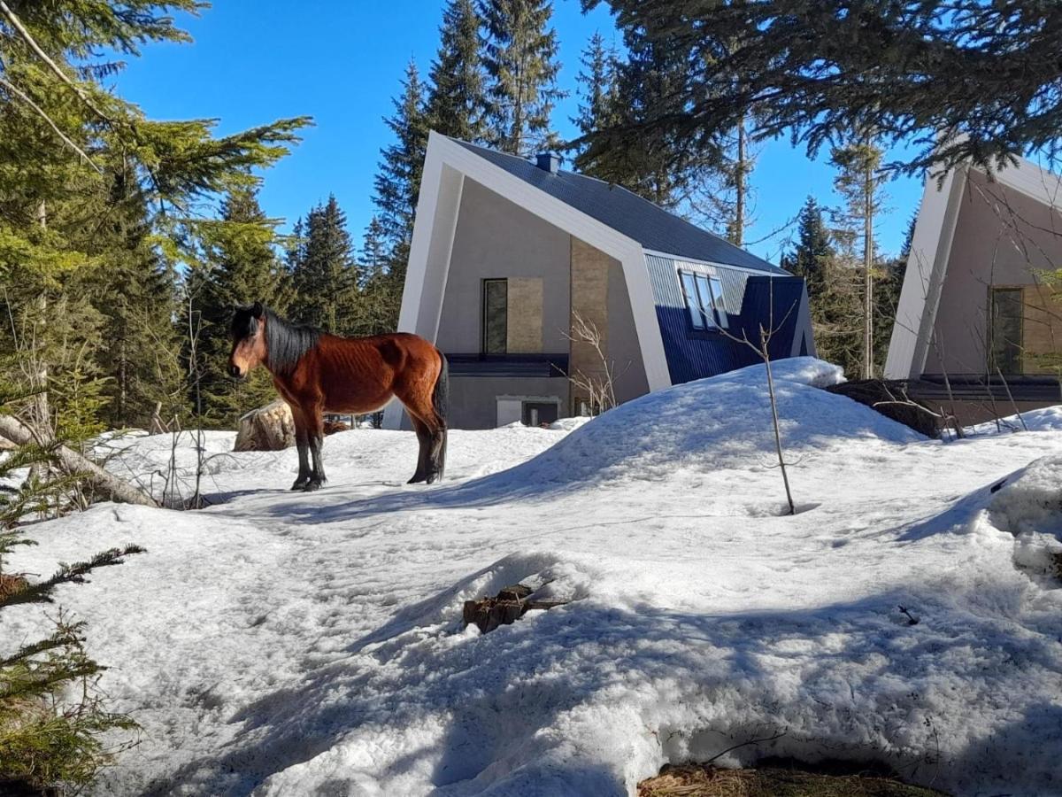 Villa Olympic Oasis Jahorina Exterior foto